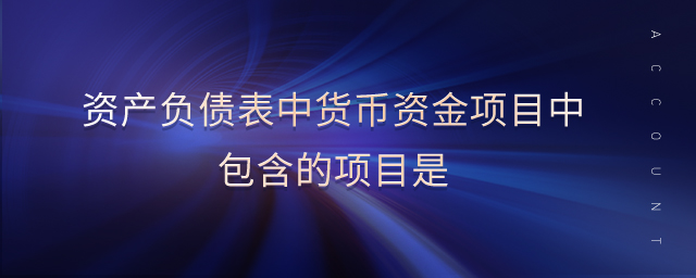 資產負債表中貨幣資金項目中包含的項目是