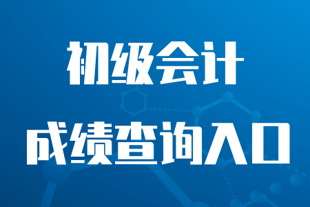 2020年初級會計成績查詢入口是全國會計資格評價網嗎？