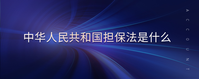 中華人民共和國(guó)擔(dān)保法是什么