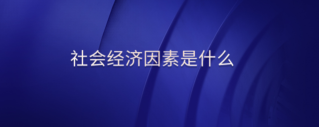 社會(huì)經(jīng)濟(jì)因素是什么