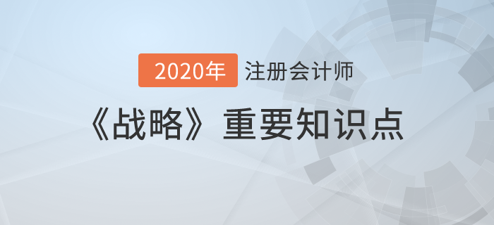 公司戰略與組織結構（三）_2020年注冊會計師《戰略》重要知識點
