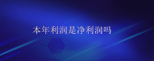 本年利潤是凈利潤嗎
