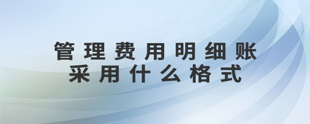 管理費用明細賬采用什么格式
