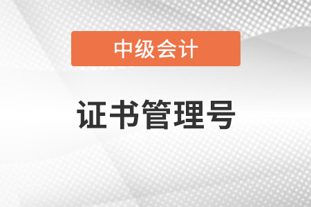中級會計師編號和管理號是同一個嗎？