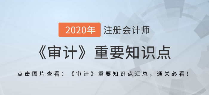 針對評估的風險采取的應對措施_2020年注會《審計》重要知識點