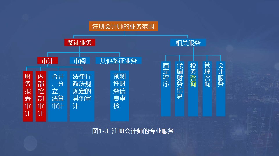 注冊會計師的專業服務
