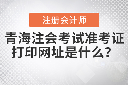 2020年青海注冊會計師考試準考證打印網址是什么？