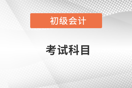 2020年初級會計考試科目