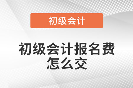 初級會計報名費怎么交