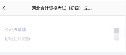 查看2020初級會計考試成績