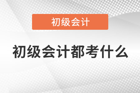 初級會計(jì)都考什么