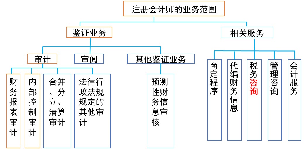 注冊會計師的專業服務