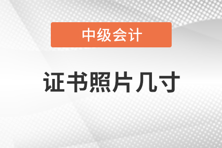 中級會計師證書照片幾寸