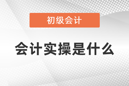 初級會計實操是什么