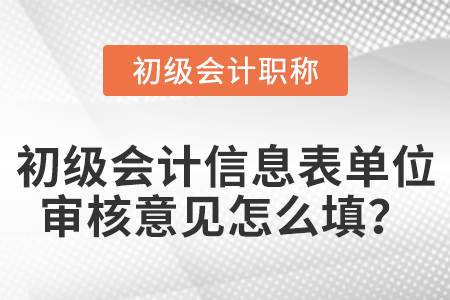 初級會計信息表單位審核意見怎么填？