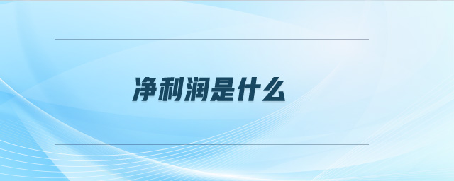 凈利潤是什么