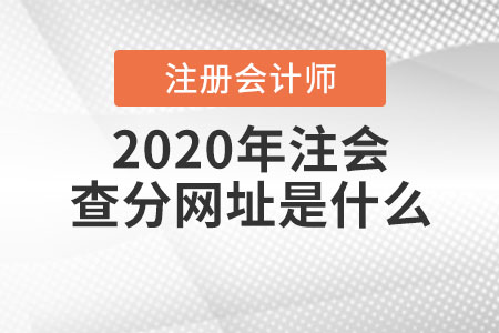 2020年注會查分網(wǎng)址是什么？