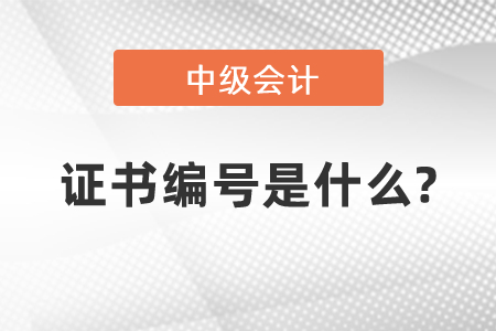 中級會計的證書編號是什么?