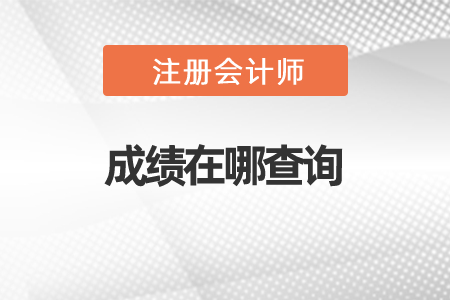 2020年注冊(cè)會(huì)計(jì)師成績(jī)?cè)谀牟樵? alt=