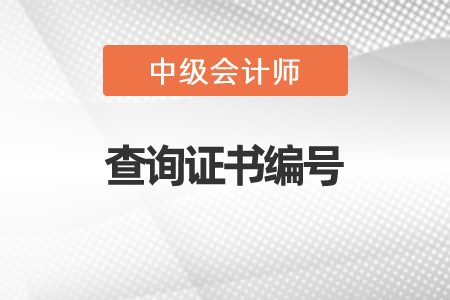 2021年怎樣查詢中級會計證書編號