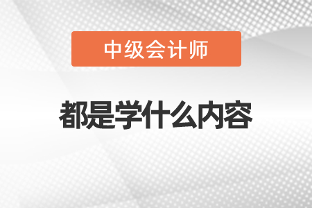 中級會計都是學什么內容