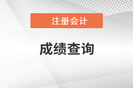 遼寧省大連注會(huì)成績(jī)查詢網(wǎng)址