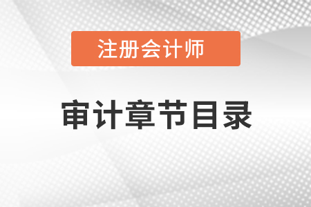 注冊會計師審計章節目錄