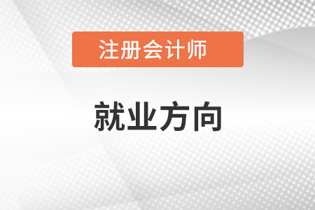 注冊會計師就業(yè)方向