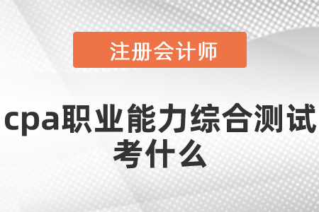 cpa職業能力綜合測試考什么