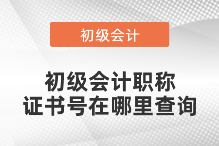初級會計職稱證書號在哪里查詢