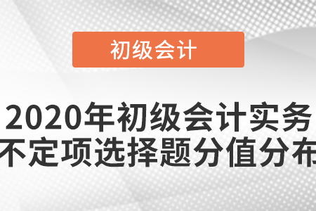 2020年初級會計實務不定項選擇題分值分布