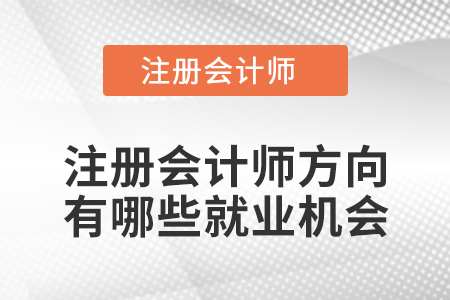 注冊會計師方向有哪些就業機會