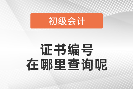 初級(jí)會(huì)計(jì)證書編號(hào)在哪里查詢呢