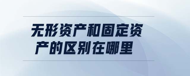 無形資產和固定資產的區別在哪里