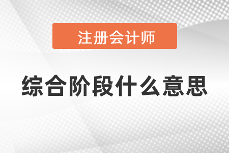 注會(huì)綜合階段什么意思？
