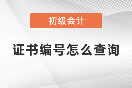 初級會計證書編號怎么查詢
