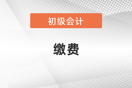 初級會計考試如何繳費
