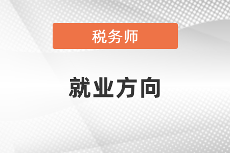 稅務師和注冊會計師的就業方向