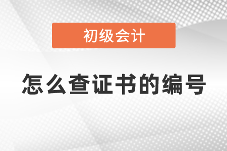 怎么查初級(jí)會(huì)計(jì)證書的編號(hào)