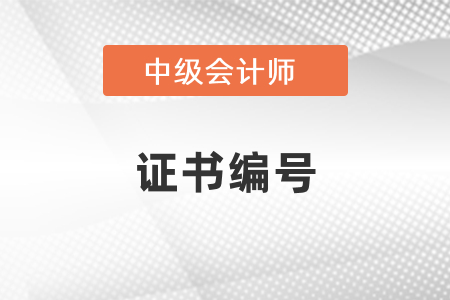 中級會計證書編號在哪里可以查