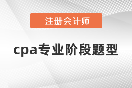 cpa專業階段題型