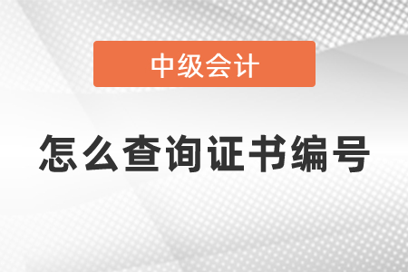 怎么查詢中級會計師證書編號