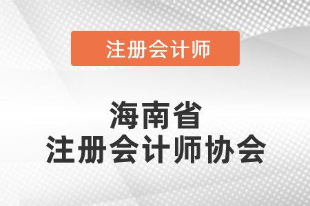 海南省注冊會計師協會