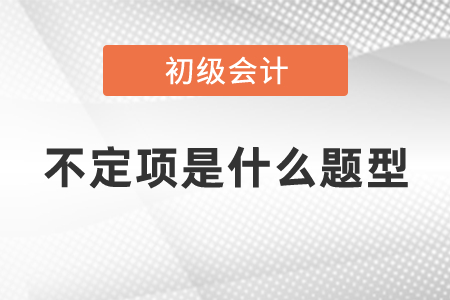 初級會計考試題型不定項是什么題型