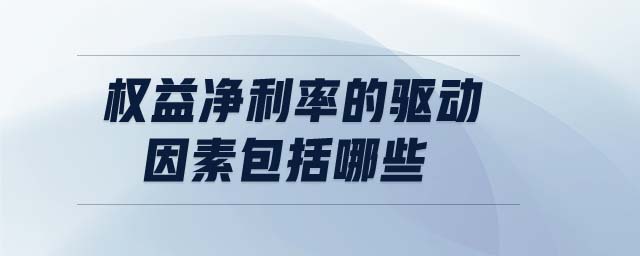 權益凈利率的驅動因素包括哪些
