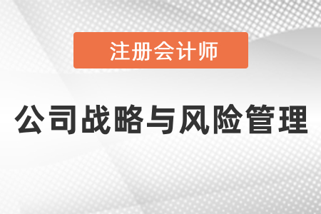 注會戰略考試重點總結