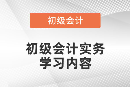 初級會計實務學習內容