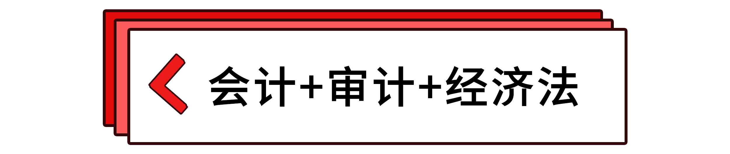 會計+審計+經濟法