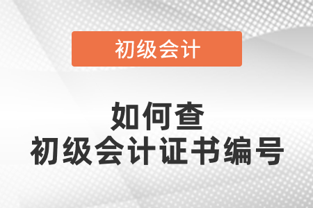 如何查初級會計證書編號