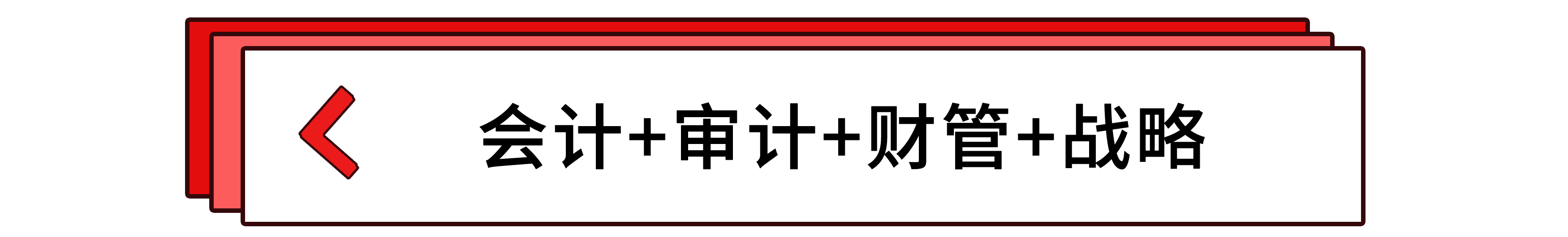 會計+審計+財管+戰略